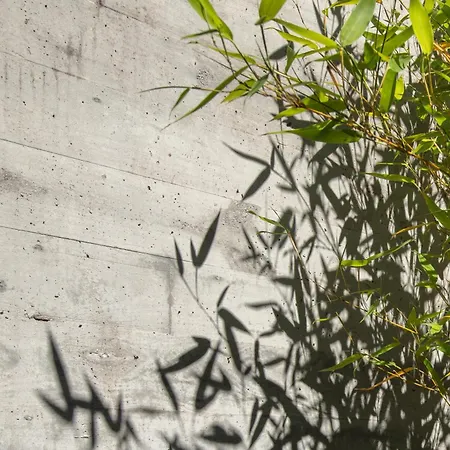 Con Piscina Y Jardin, Santiago De Compostela * Teo